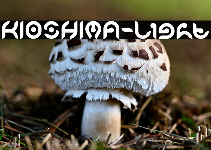 KIOSHIMA-Light Example 3