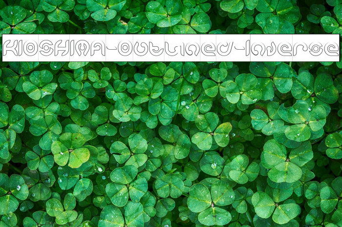 KIOSHIMA-Outlined-Inverse Example 3