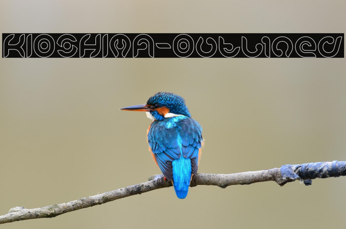 KIOSHIMA-Outlined Example 2