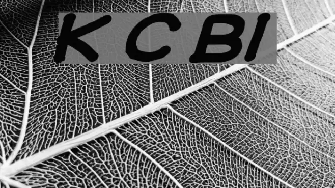 Ki Comic BoldItalic Fuentes examples