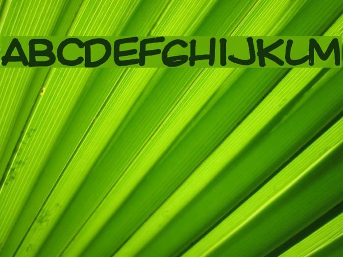 Ki Comic Bold Font examples