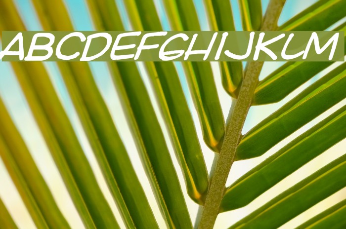 Ki Comic Italic Font examples