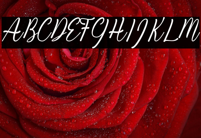 Kiara Akira Example 1