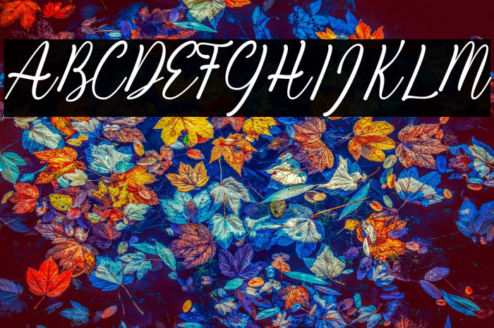 Kiara Akira Example 2