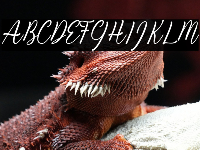 Kiara Akira Example 3