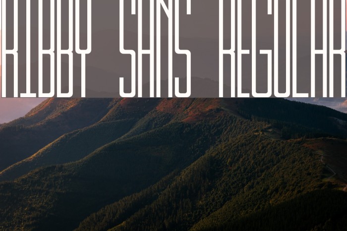 Kibby Sans Regular Font examples