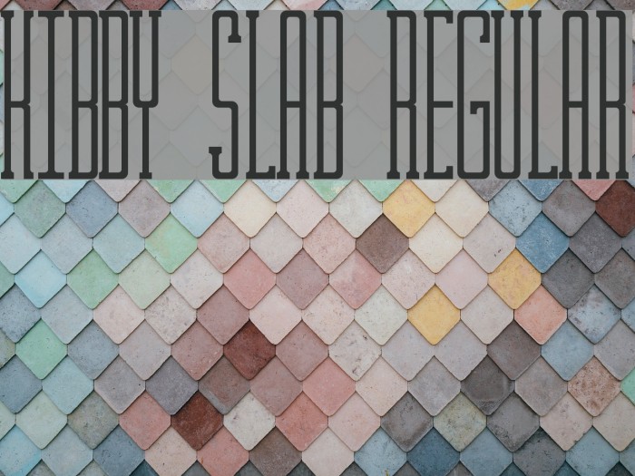 Kibby Slab Regular Font examples