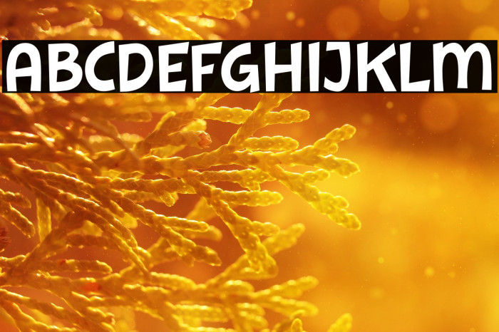 Kicau Mania Example 3