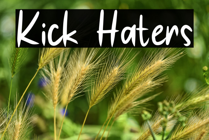 Kick Haters Example 2