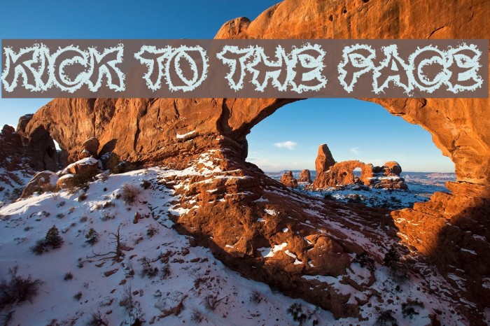 Kick To The Face Example 3