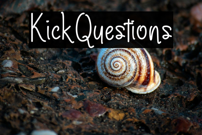 KickQuestions Example 1