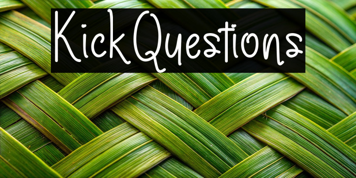 KickQuestions Example 2