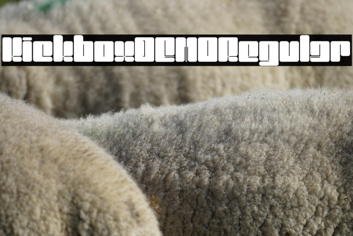 KickboxDEMO-Regular Example 3