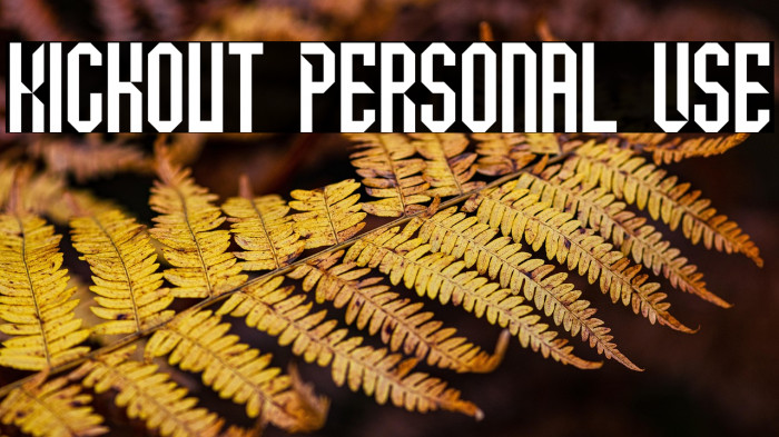 Kickout Personal Use Example 2