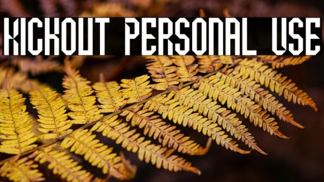 Kickout Personal Use Example 2