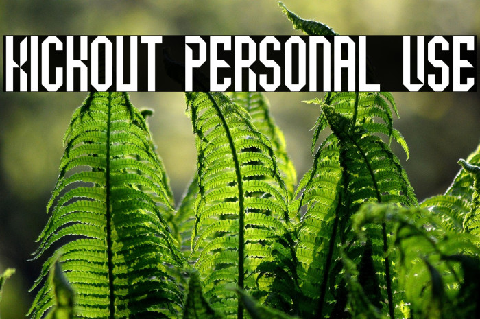 Kickout Personal Use Example 3