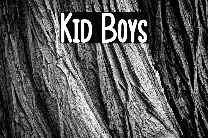 Kid Boys Example 3
