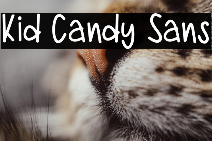 Kid Candy Sans Example 2