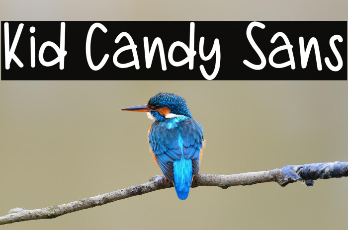 Kid Candy Sans Example 3