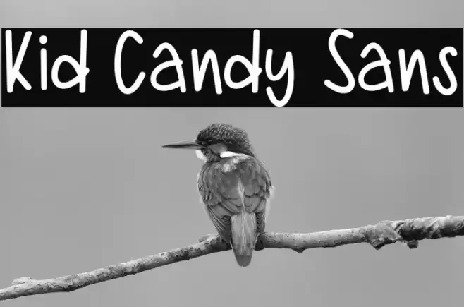 Kid Candy Sans Fonte examples