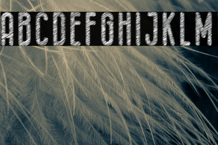 Kid Knowledge 2 Clean Font examples