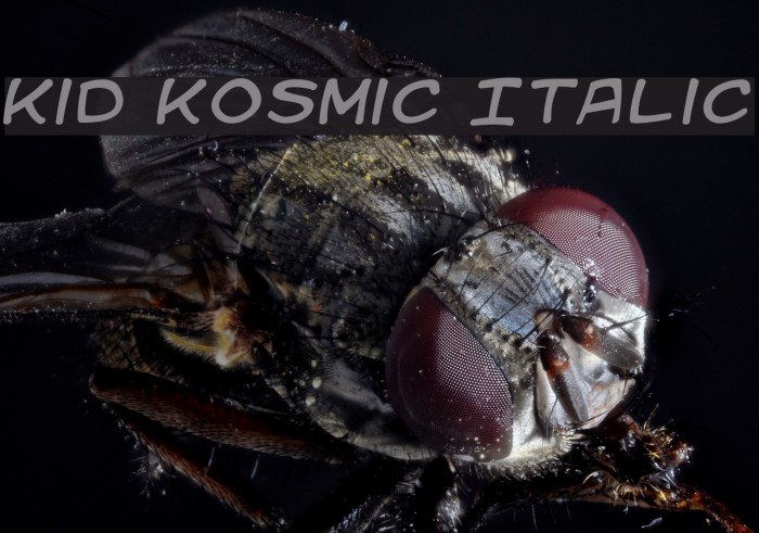 Kid Kosmic Italic Font examples
