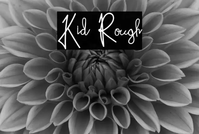 Kid Rough Polices examples