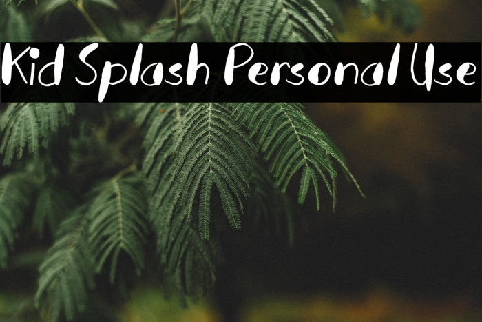 Kid Splash Personal Use Example 1
