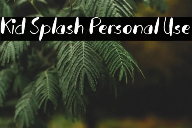 Kid Splash Personal Use Example 1