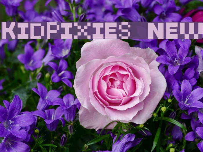 KidPixies New Example 1