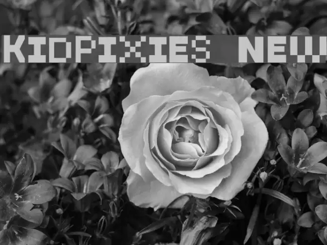 KidPixies New Font examples