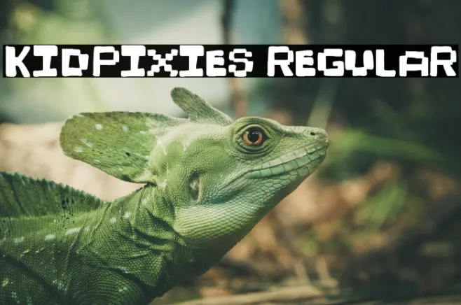 KidPixies Regular Example 2