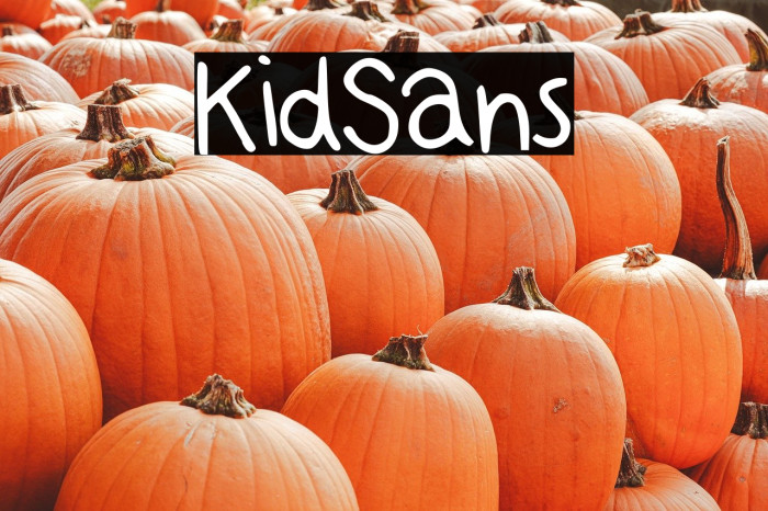 KidSans Example 3