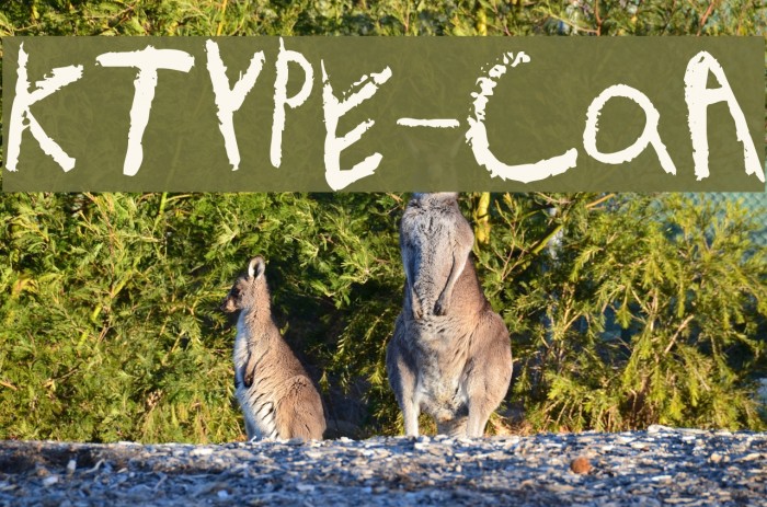 KidTYPE-CrayonA Font examples