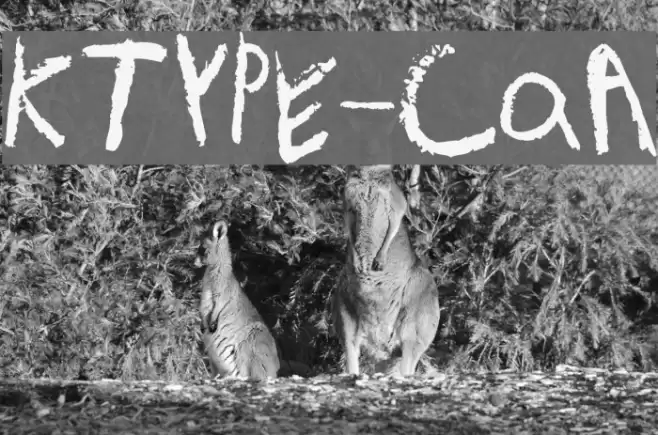 KidTYPE-CrayonA フォント examples