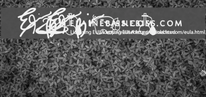 Kiddie Sampler Font examples