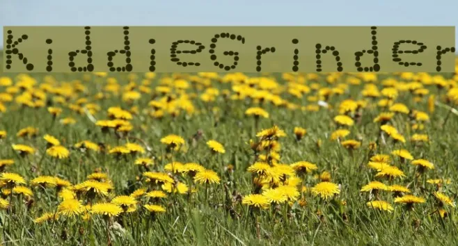 KiddieGrinder Example 2