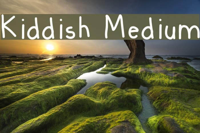 Kiddish Medium Font examples