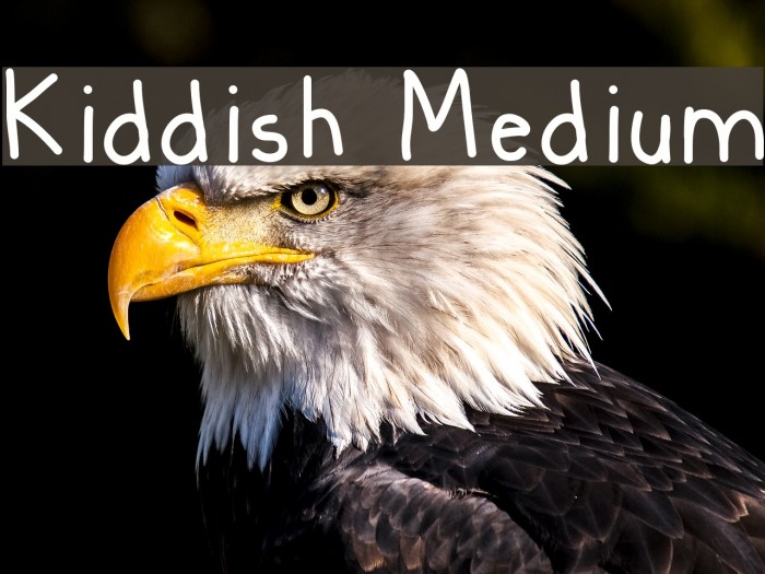 Kiddish Medium Font examples