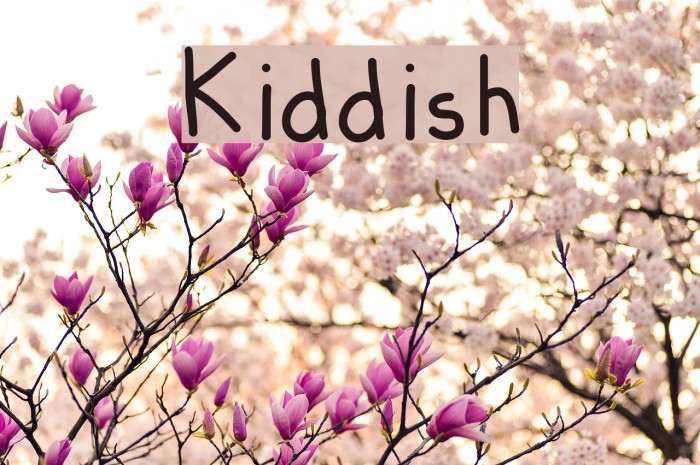 Kiddish Font examples