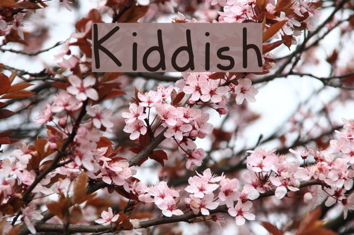 Kiddish Font examples
