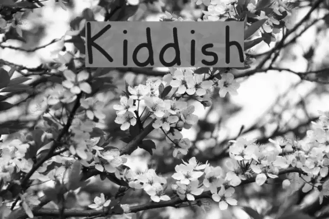 Kiddish examples