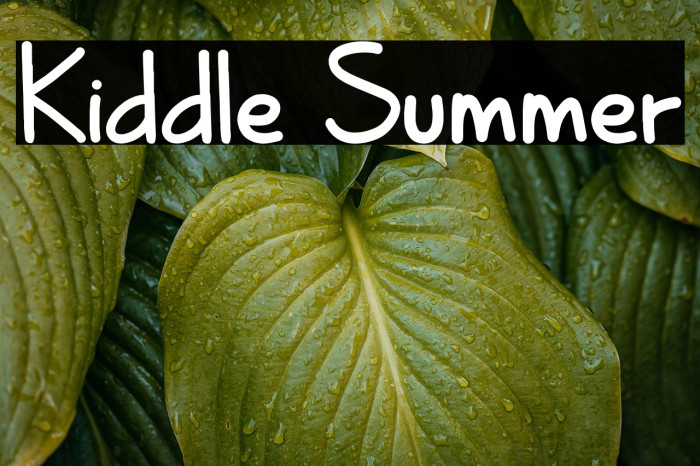 Kiddle Summer Example 1