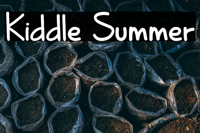 Kiddle Summer Example 2