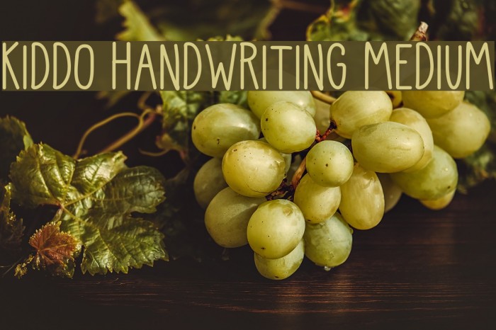 Kiddo Handwriting Medium Font examples