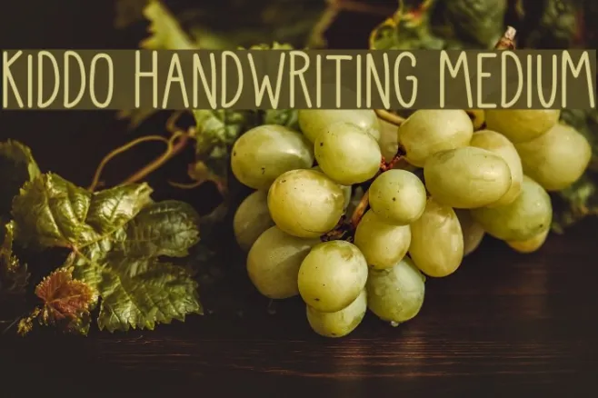 Kiddo Handwriting Medium Example 1