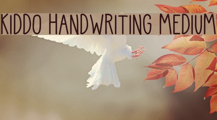 Kiddo Handwriting Medium Font examples