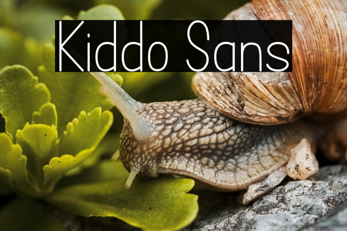 Kiddo Sans Example 2