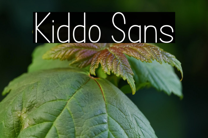 Kiddo Sans Example 3