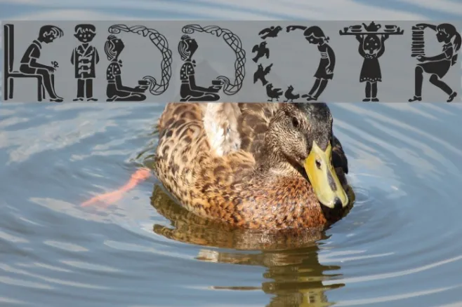 KiddoTR Example 1